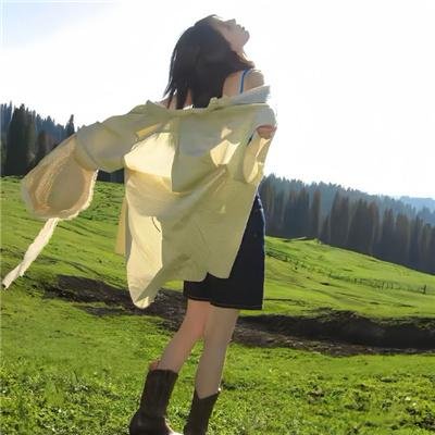车行至高
