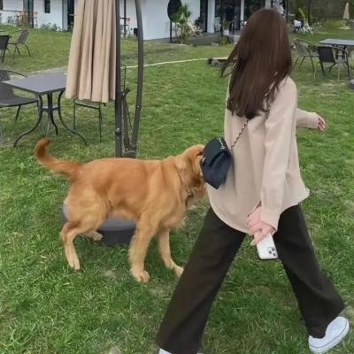 加尔各答往事
